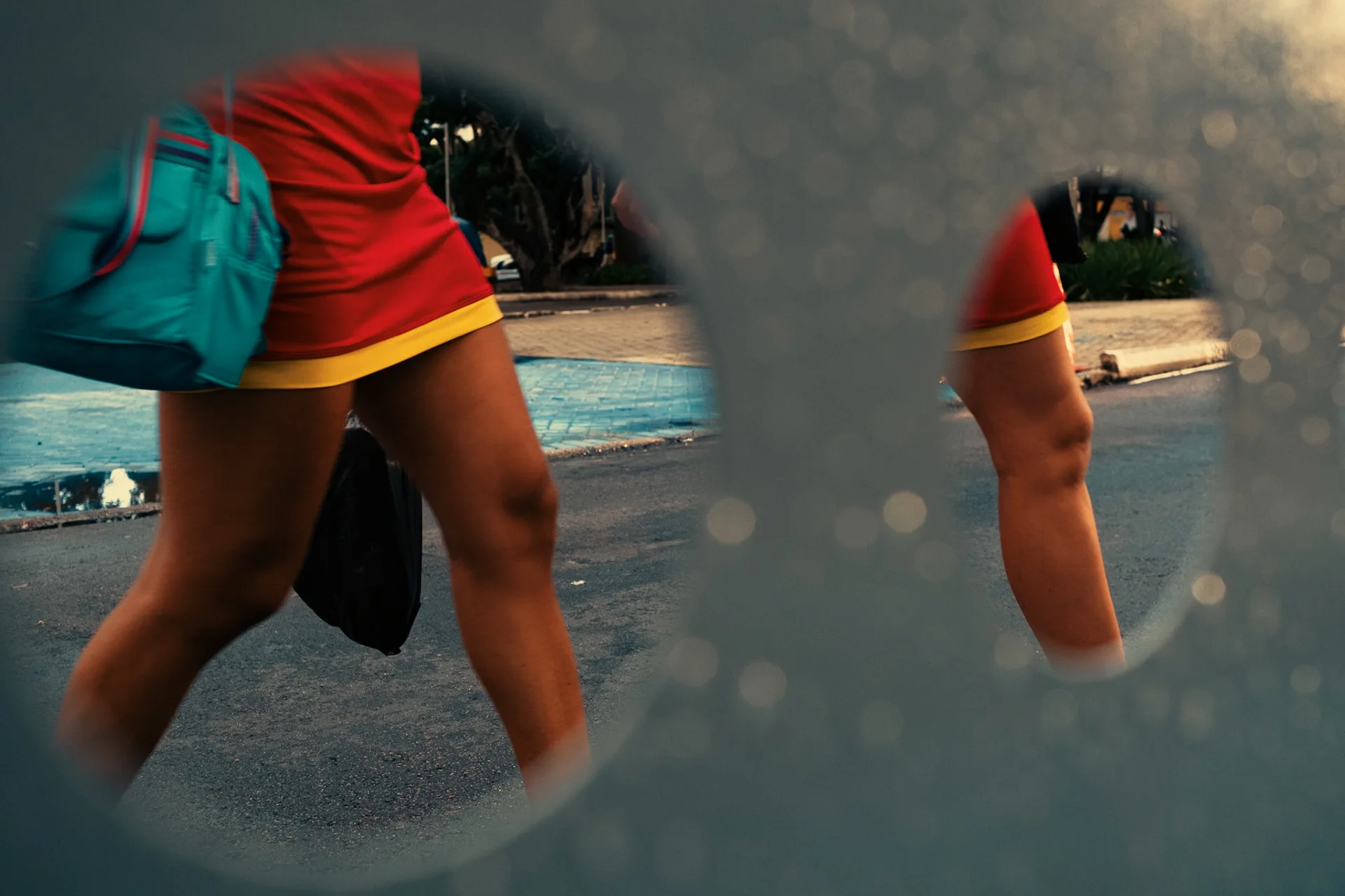 Fragments: photograph by Leo Saraiva, image 8