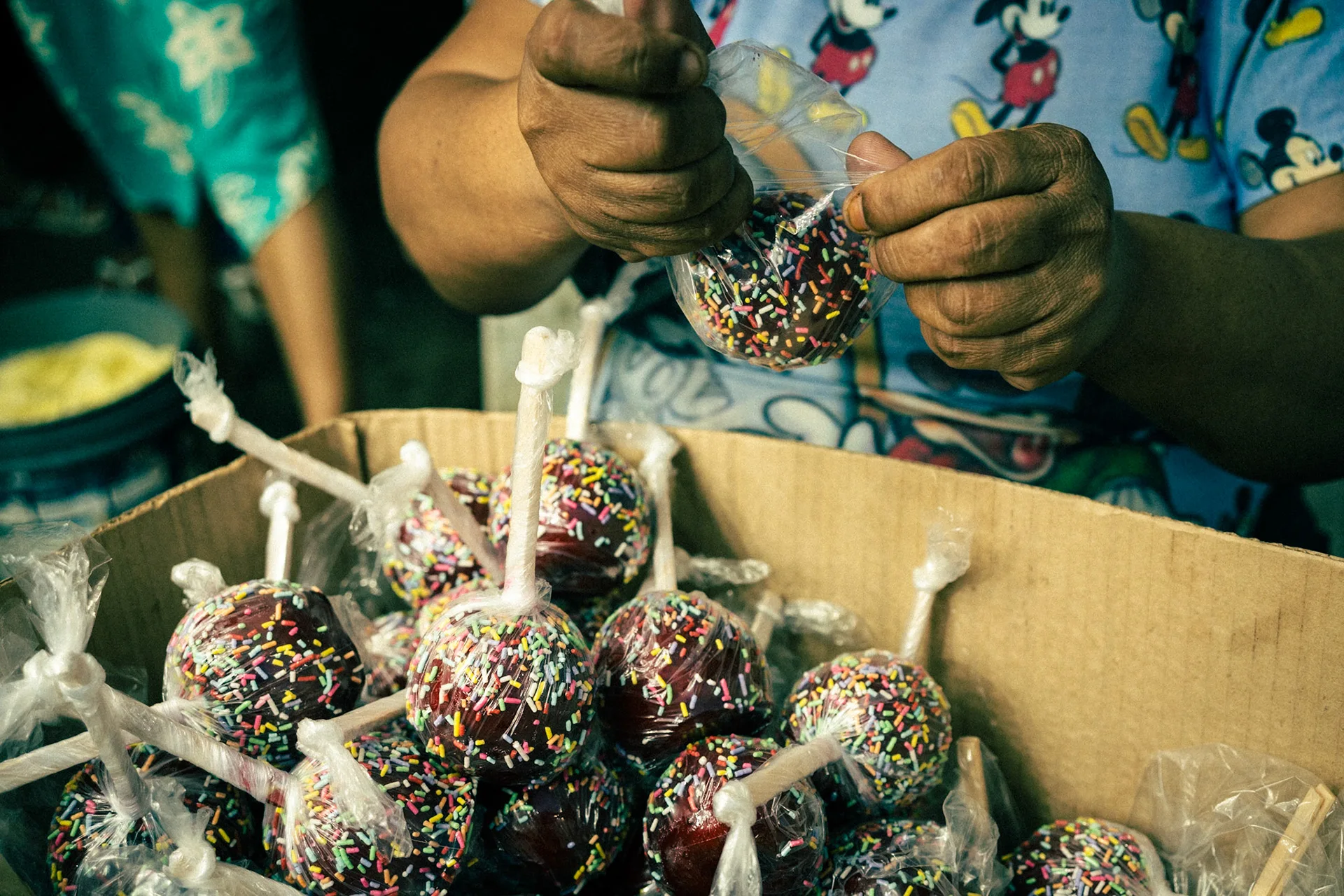 Fragments: photograph by Leo Saraiva, image 18