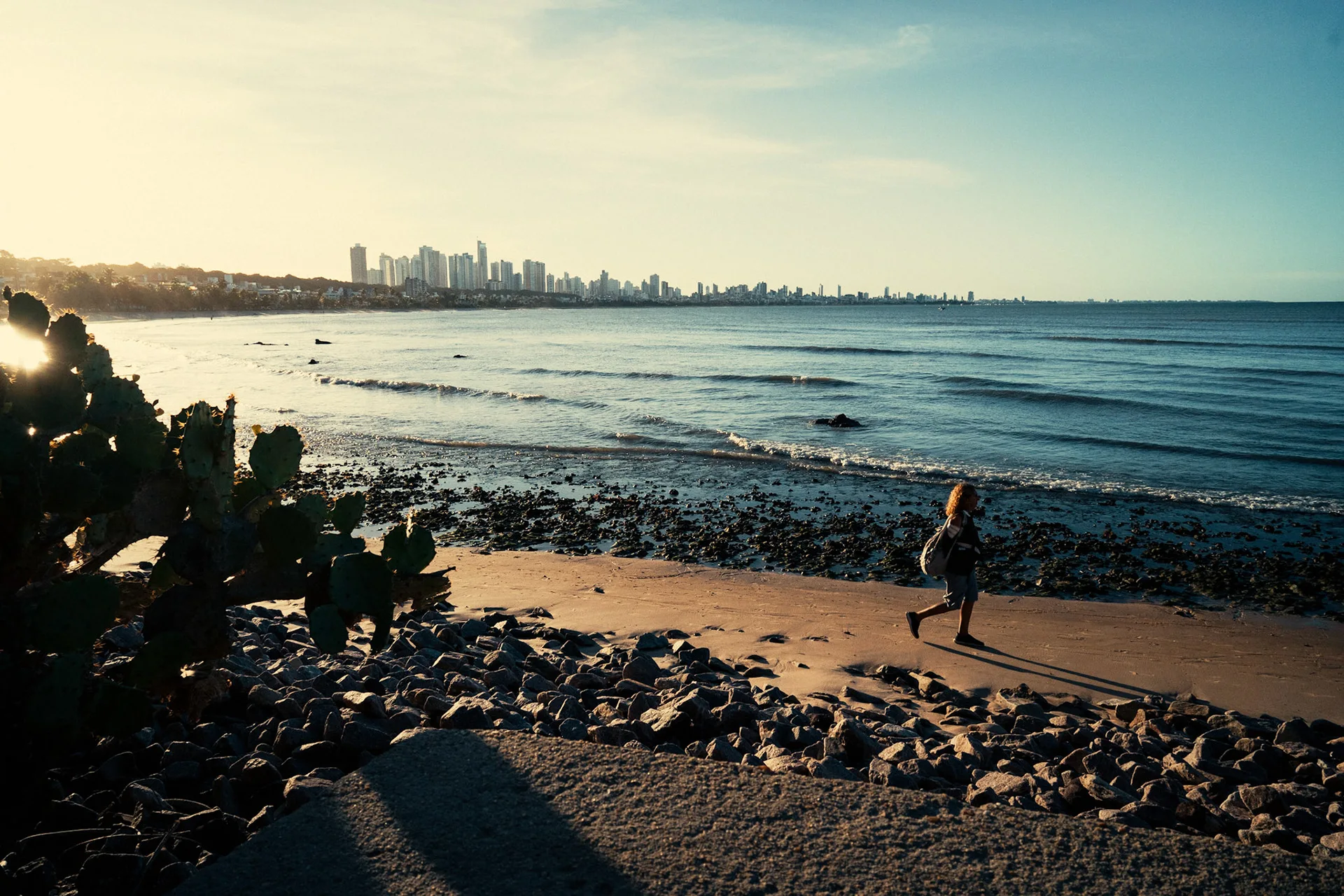 Fragments: photograph by Leo Saraiva, image 21