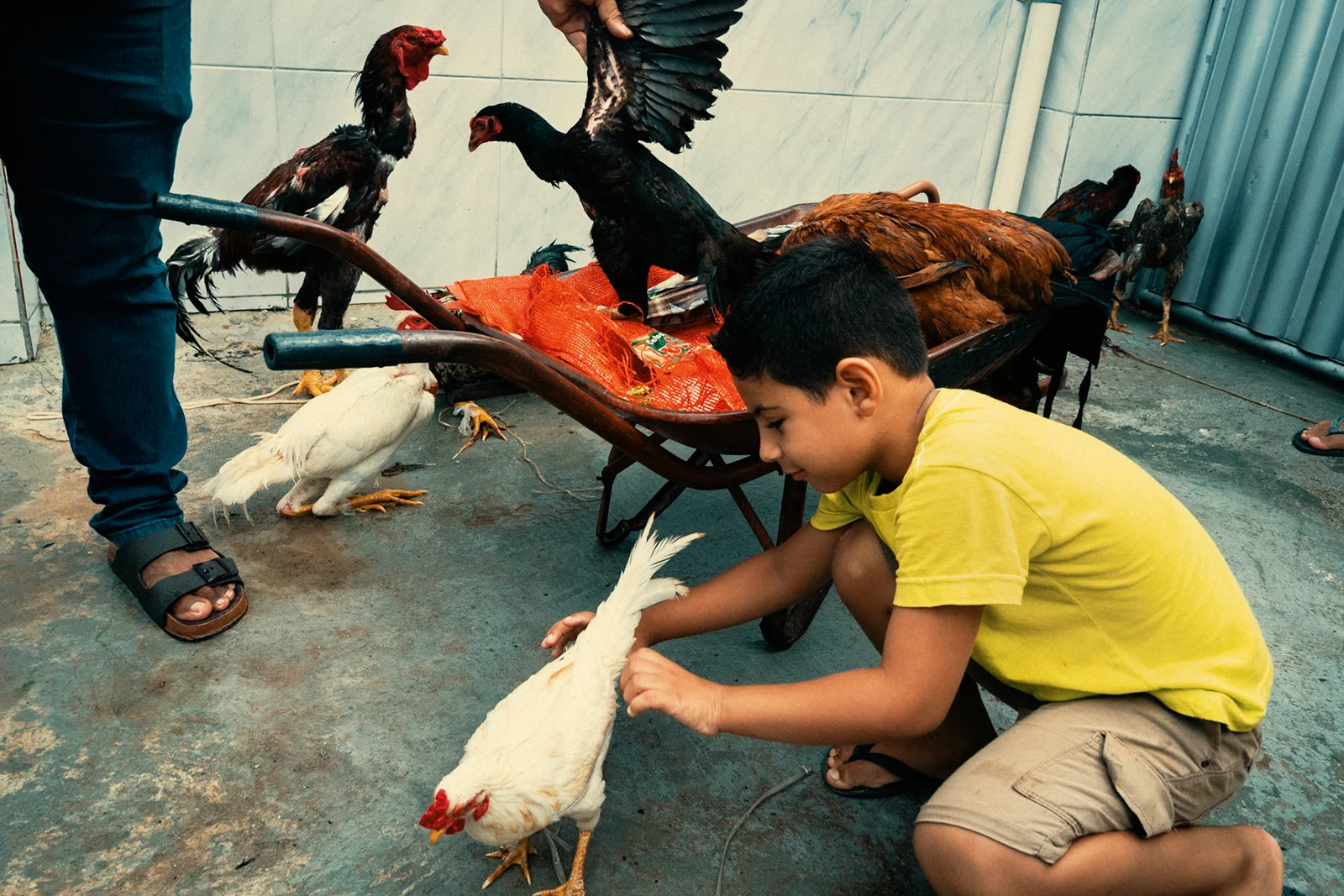 Photograph by Leo Saraiva, selected work 10