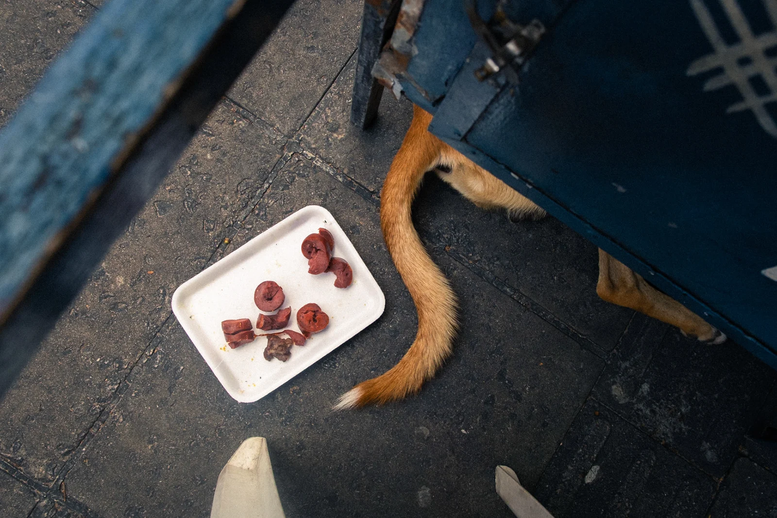 Photograph by Leo Saraiva, selected work 16