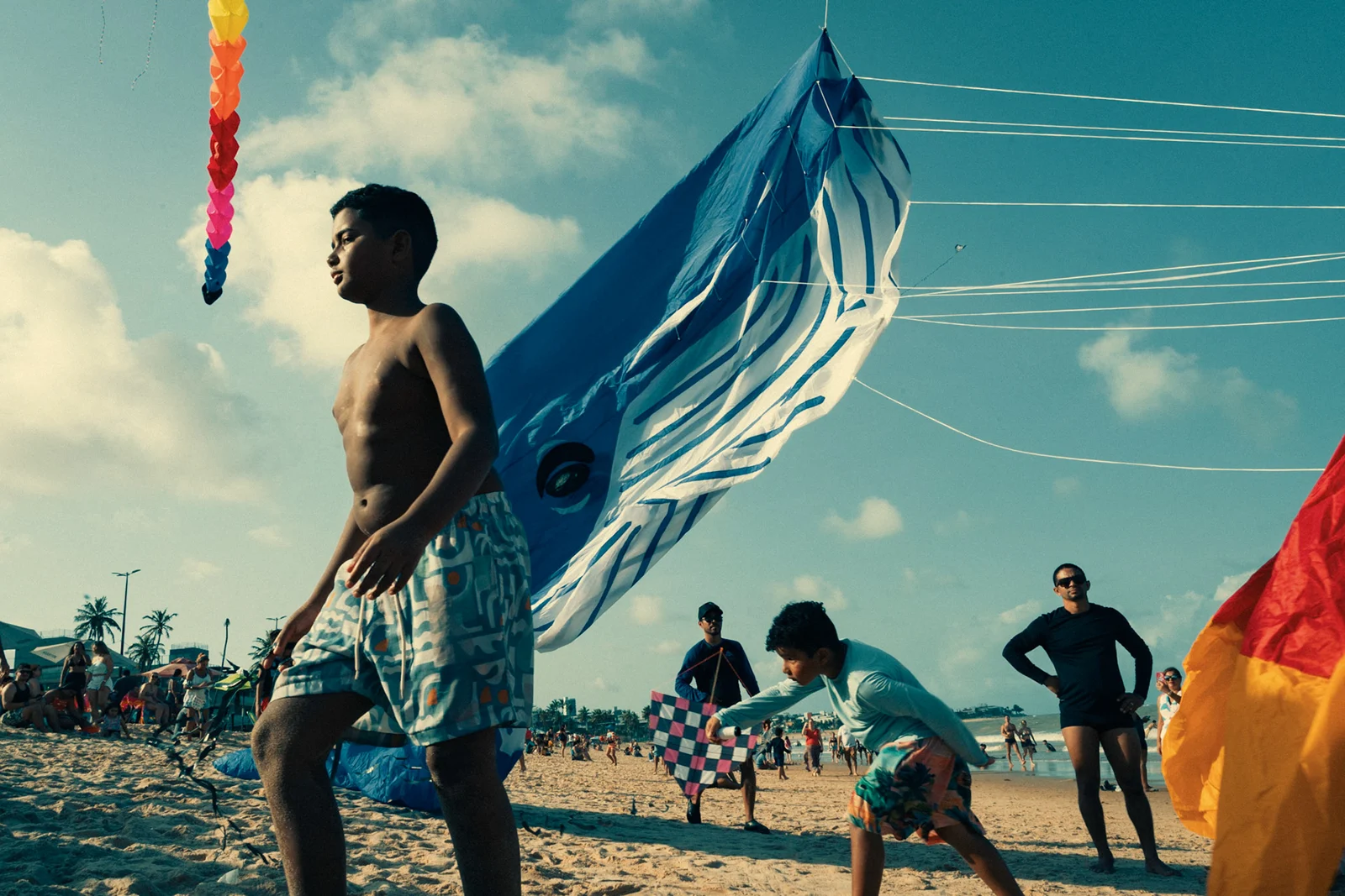 Photograph by Leo Saraiva, selected work 18